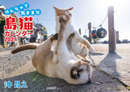 �J�����_�[