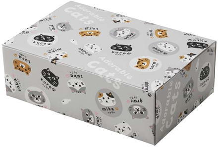 ٓBOX