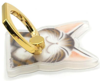 �X�}�z�����O